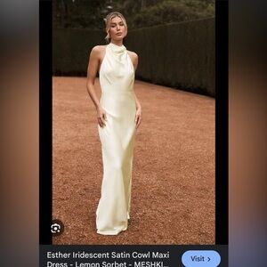 Meshski Esther satin cowl neck dress nwt